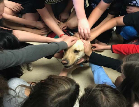 can i volunteer to train service dogs