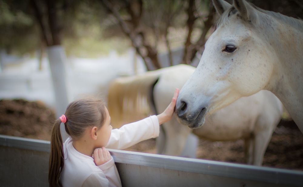 A child petting a horse during an animal-assisted therapy session. 