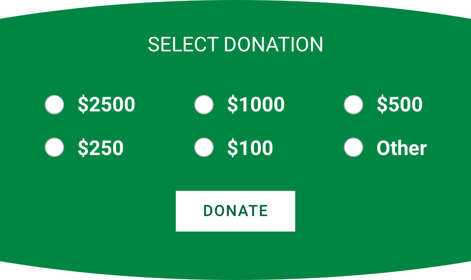 Image of donation form