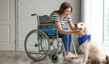 woman in wheelchair with service dog