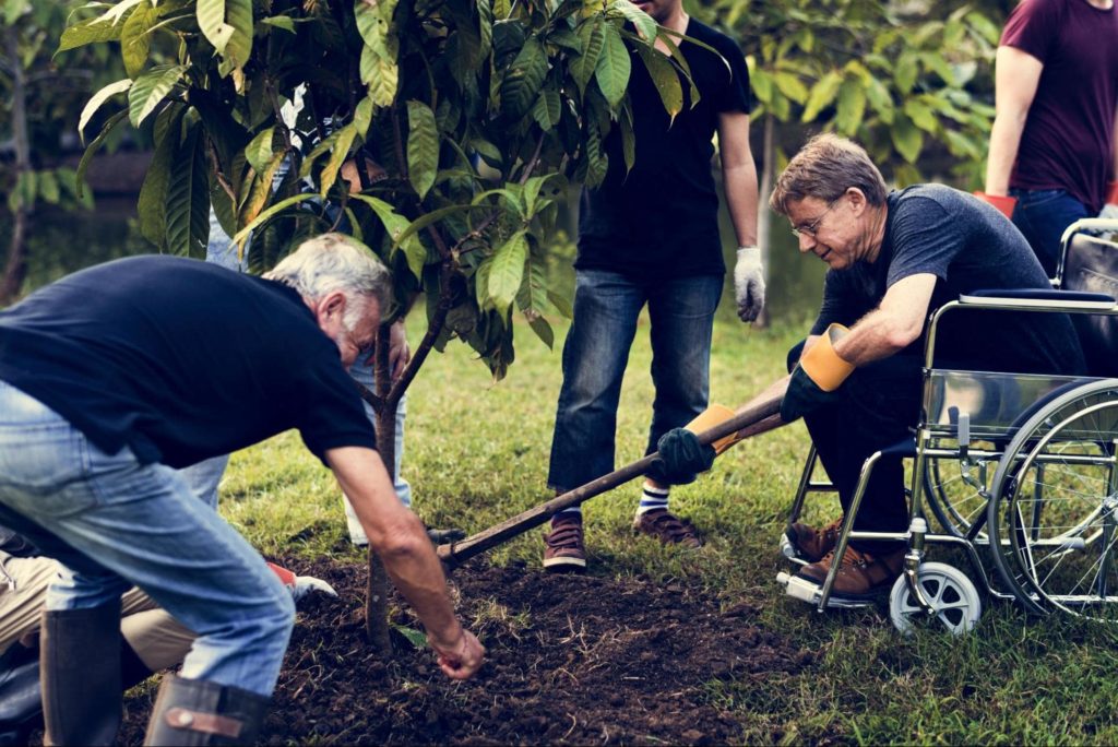 A group of volunteers including a person with disabilities in a wheelchair planting a tree