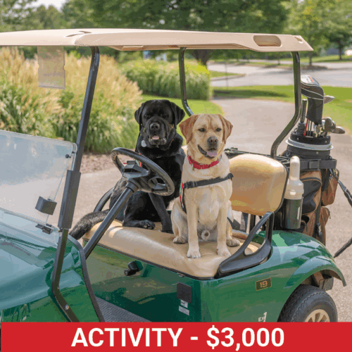 Golf25 ActivityDog