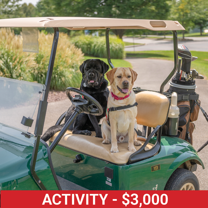 Golf25 ActivityDog