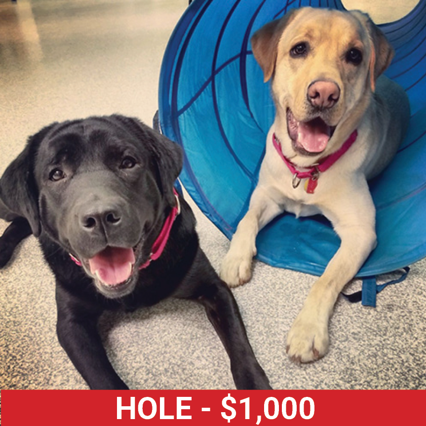 Golf25 HoleDog 1