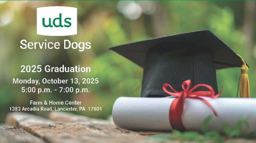 Dog Grad Cover Image 2